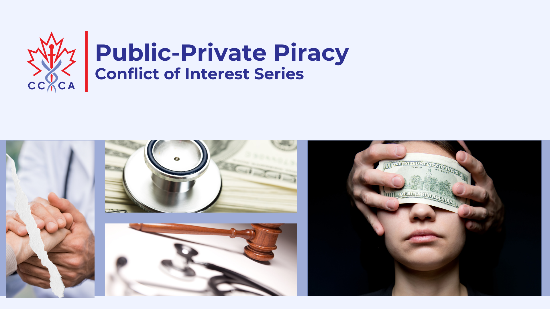 Public-Private Piracy
